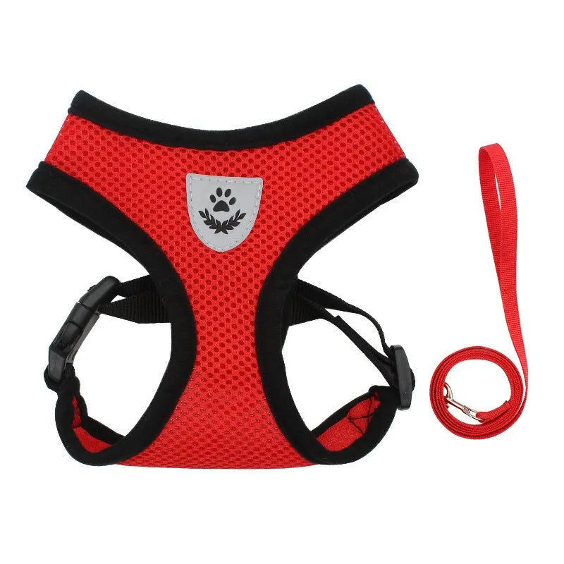 PetNova™ Escape-Proof Cat Harness & Leash Set