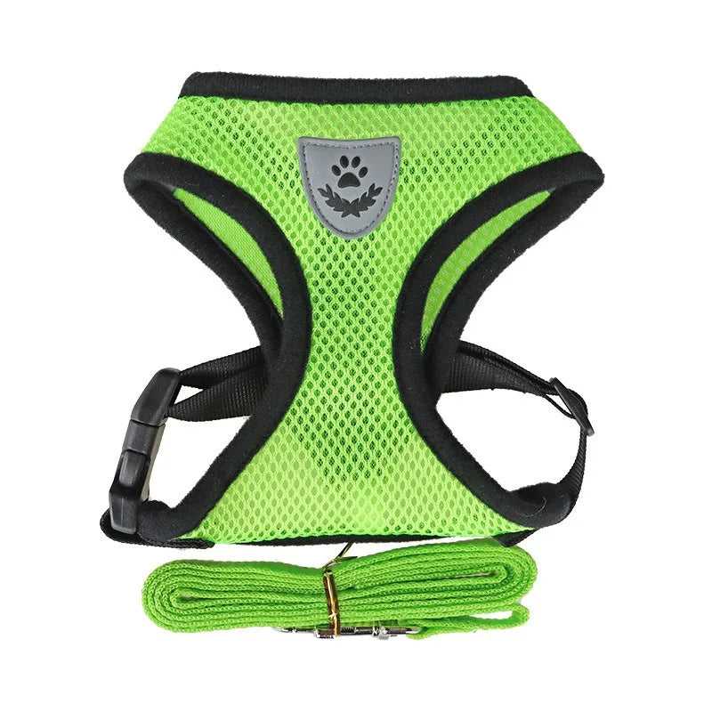 PetNova™ Escape-Proof Cat Harness & Leash Set