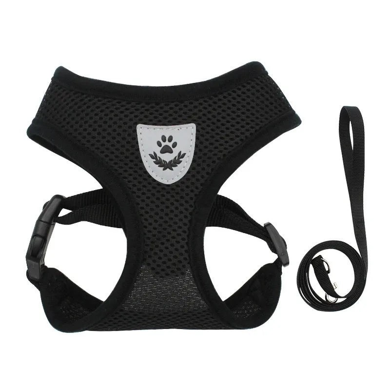 PetNova™ Escape-Proof Cat Harness & Leash Set