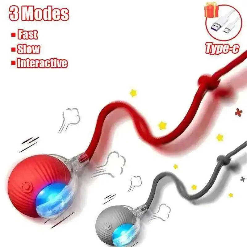 PetNova™ Smart Interactive Rolling Ball