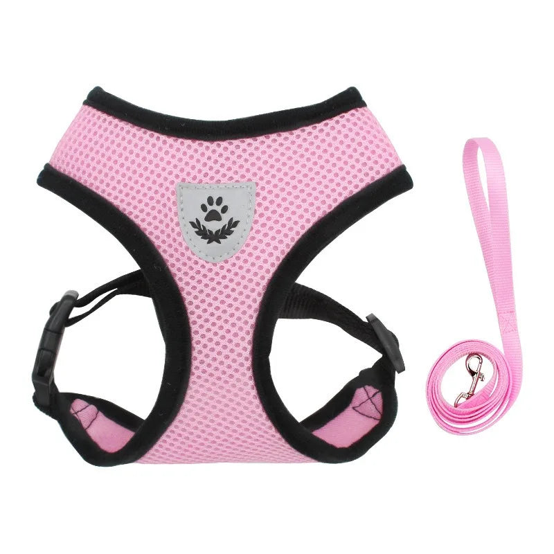 PetNova™ Escape-Proof Cat Harness & Leash Set