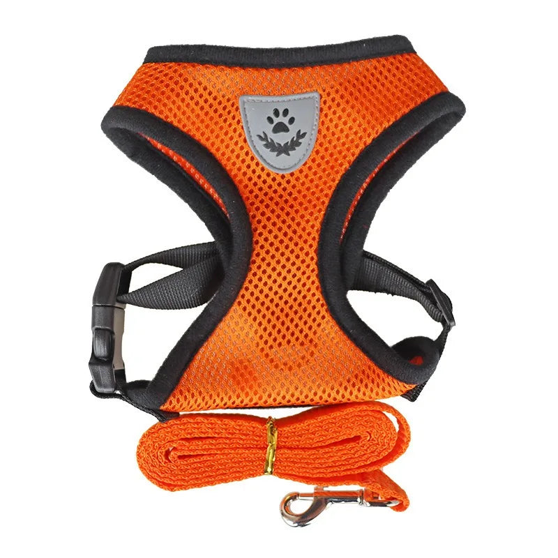 PetNova™ Escape-Proof Cat Harness & Leash Set