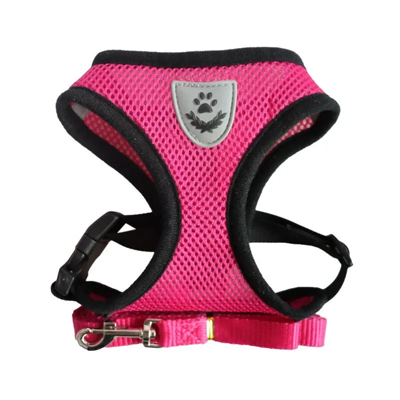 PetNova™ Escape-Proof Cat Harness & Leash Set